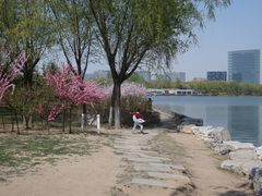 -大兴滨河森林公园