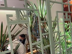 -野妹经典火锅(民治店)