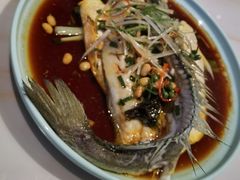 -蓝珊瑚蒸汽海鲜餐厅(龙奥店)