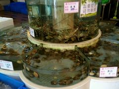 -龙宝轩(坦洲店)