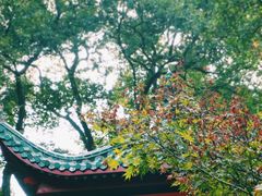 -岳麓山风景名胜区