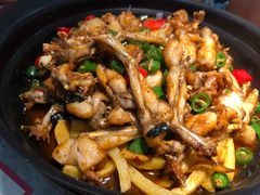 -蛙小侠(古镇大信新都汇店)