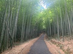 -苏州环秀晓筑养生度假村