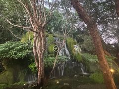 -Chom Cafe and Restaurant