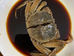 生腌蟹-丁来兴酒店(西街店)