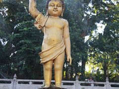 -西双版纳勐泐文化旅游区