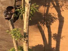 -悦哉·派对·草坪婚礼·围炉煮茶(三圣乡店)