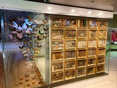 -墨尔本博物馆(Melbourne Museum)