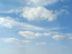 -浦东国际人才港