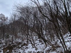-嘉陵江源头景区