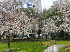 -上海电影博物馆