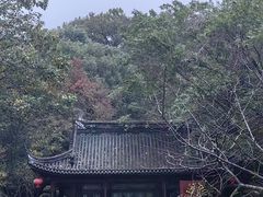 -南京东郊国宾馆