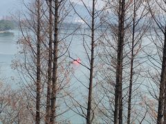 -南京城墙景区