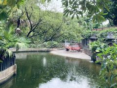 -深圳野生动物园