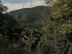 -阳台山森林公园