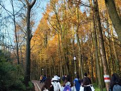 -山王坪喀斯特国家生态公园