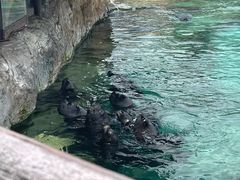 -珠海长隆海洋王国