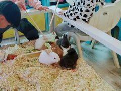 -万达茂商场(南京仙林店)