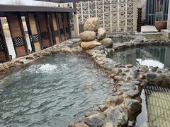 -春晖园度假酒店温泉