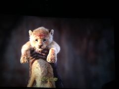 -奥斯卡西元国际影城(4K激光巨幕&杜比全景声沙发座椅)