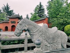 -洛阳白马寺