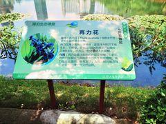 -宝岛公园
