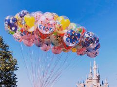 -上海迪士尼度假区