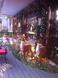 webwxgetmsgimg-侨治发型