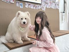 -星多哈·狗咖·拼豆·咖啡
