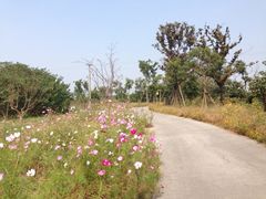 iphone_upload_pic-梁鸿国家湿地公园