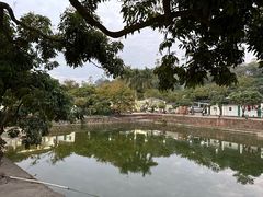 -满記土窑烧鷄波浪山莊