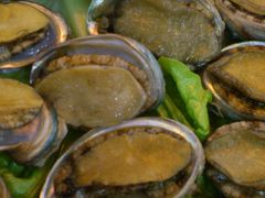 -棠宴酒店(汉口学院店)