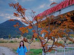 -云漫湖生态度假公园