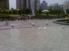 -海河外滩公园