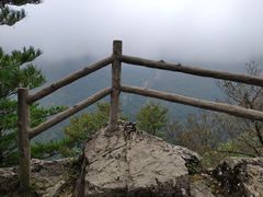 -牛背梁国家森林公园
