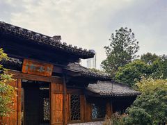 -三垟湿地