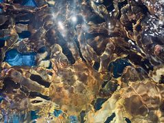 -蟹之国·精品蟹料理(极地店)