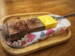 -滚猫咖啡·猫咖·猫友好撸猫(未来城店)