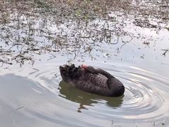 -福建鲤鱼洲酒店
