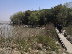 -上海吴淞炮台湾国家湿地公园