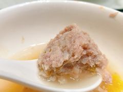 -丁老爷子苏香圆
