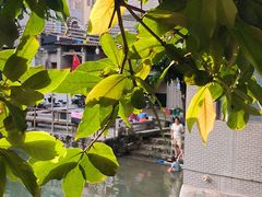 -小洲村