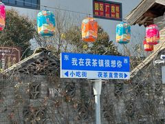 -茯茶镇