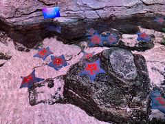 -沈阳海洋探索中心