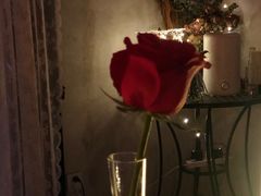 -La Lune&Gelato