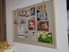 -柯达靓之彩影像网络(明瓦廊店)