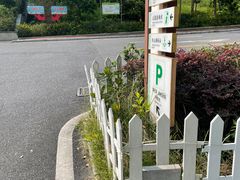 -羚羊峡古栈道森林公园