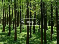 -东山湖公园