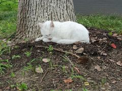 -江南大学(蠡湖校区)