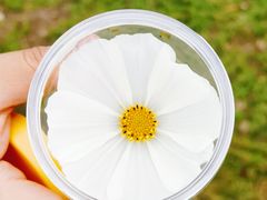 -桑干河大峡谷旅游区